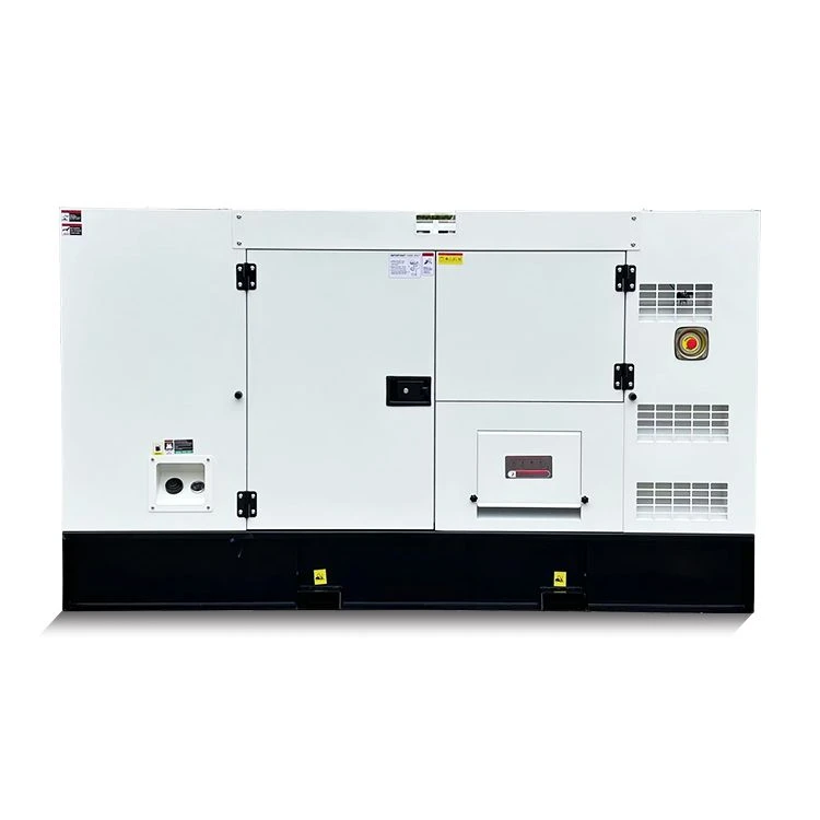 300kw ডিজেল জেনারেটর সেট
